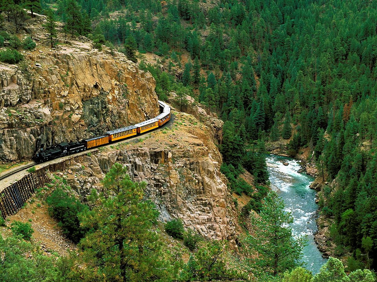 Zug fährt Bahngleise in der Nähe von Wald / kostenlose Hintergrundbild
