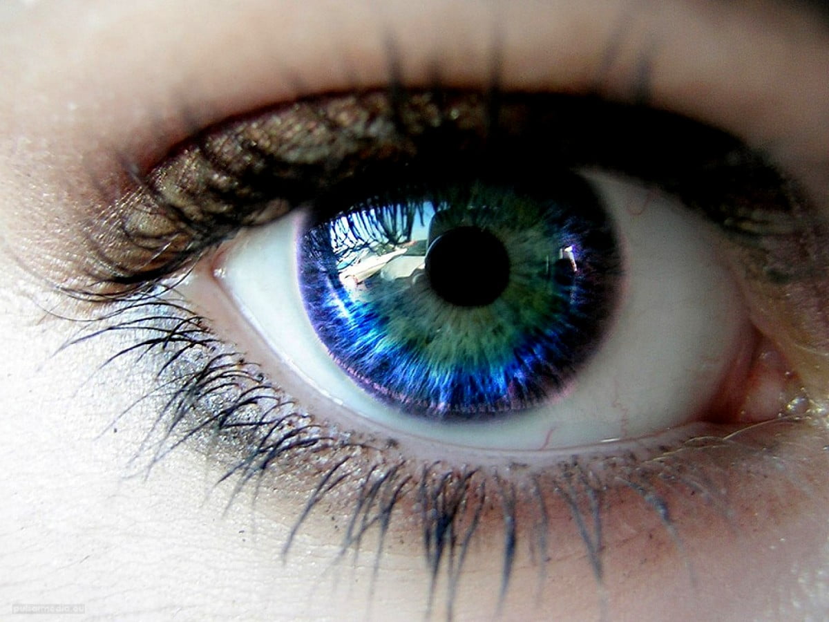 Foto Augen, Blaue, Grüne 🔥 TOP kostenlose Fotos