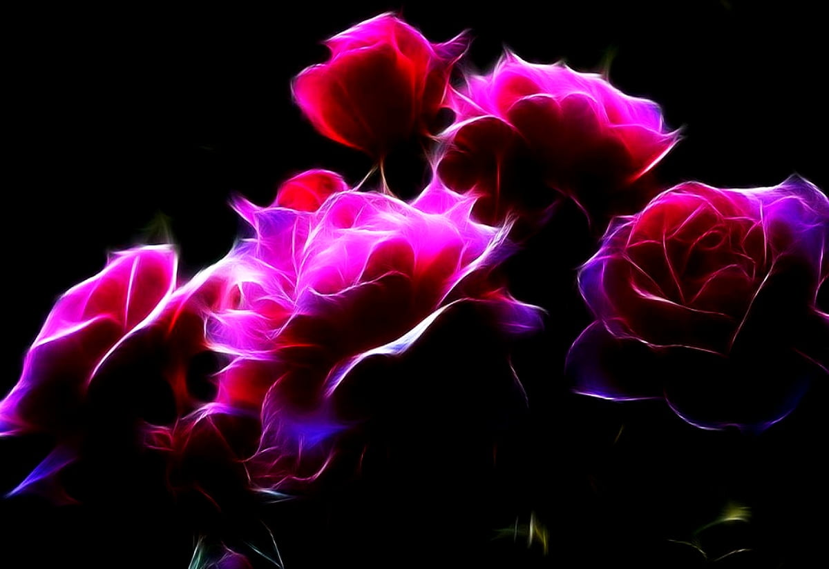 Hintergrund Fantastische Blumen Purpurrote Natur Download Beste 