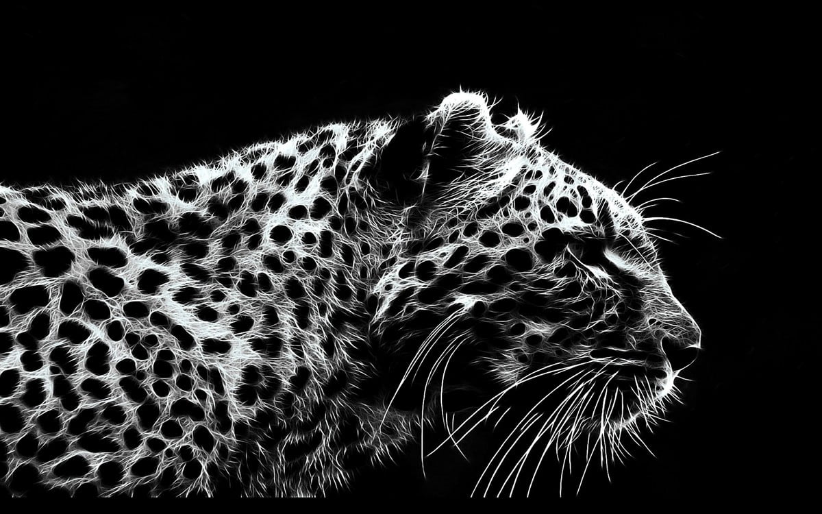 Hintergrundbild - Katze auf Leopard