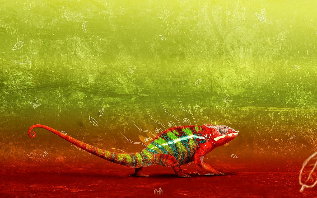 Toddmomy 3D Felsenterrarium Hintergrund – Natürlicher Dekor Für Bartagamen, Geckos & Mehr