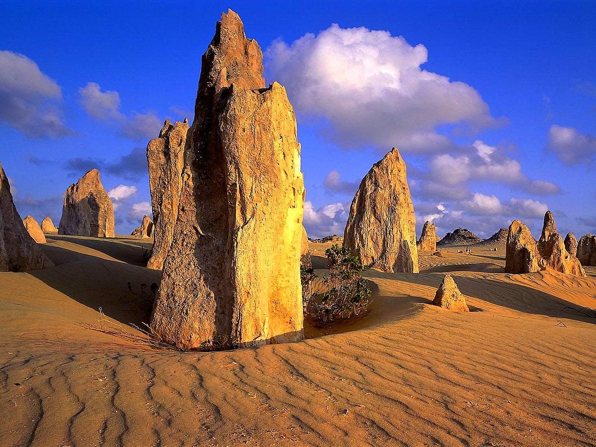 Großer Felsen und Nambung National Park (Australien) / Hintergrundbild