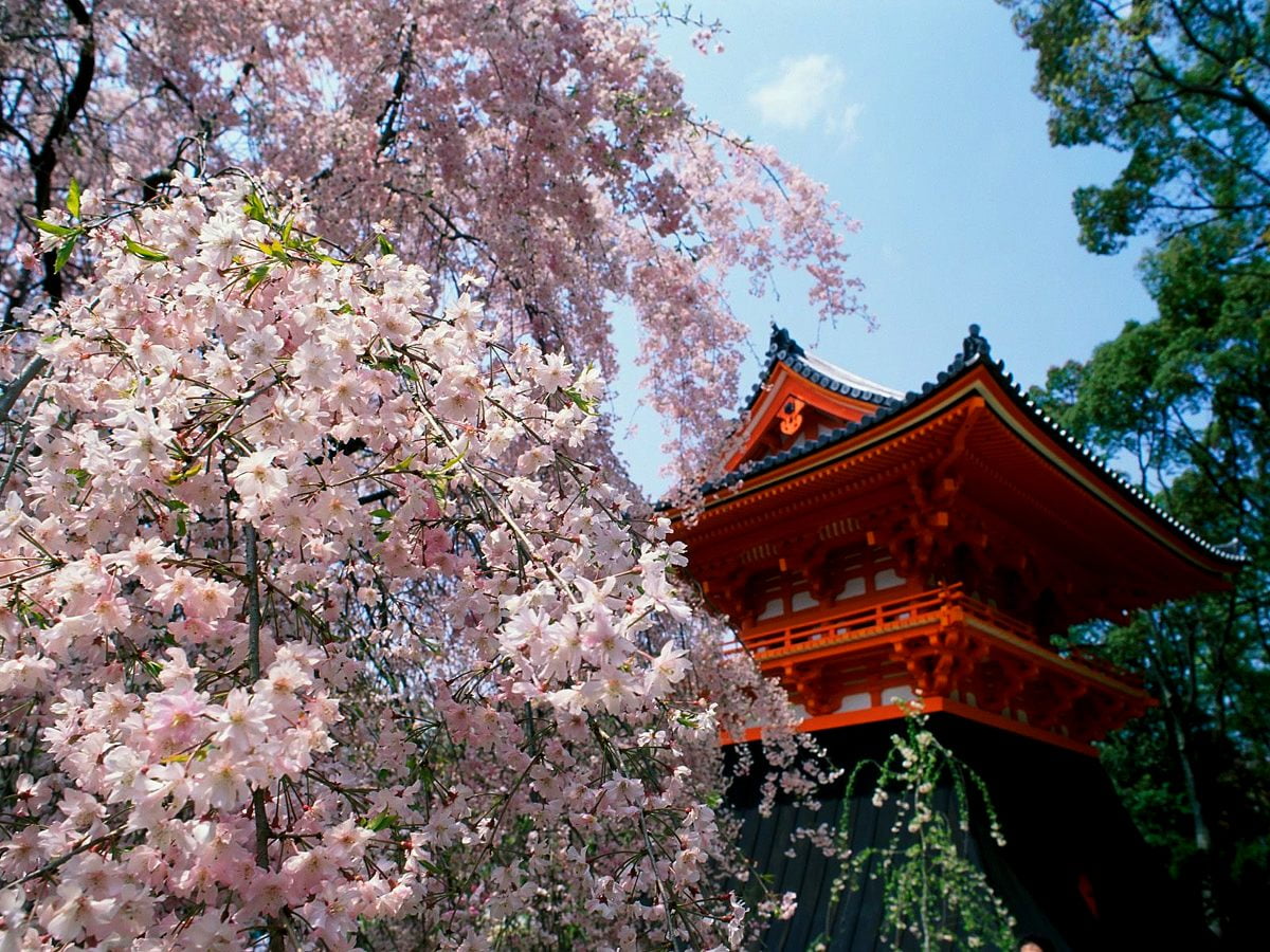 90 Japan Hintergrundbilder HD Kostenlose Bilder 90-japan-hintergrundbilder-hd-kostenlose-bilder