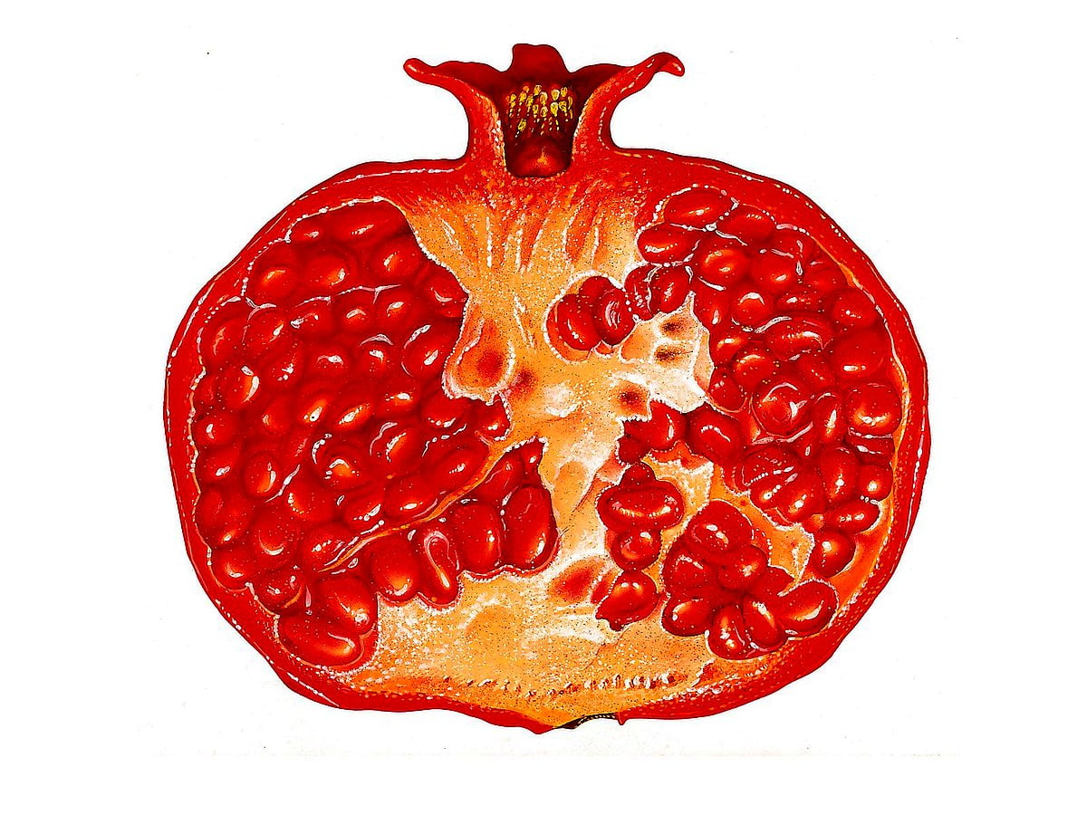 granatapfel-hintergrundbilder-hd-kostenlose-bilder