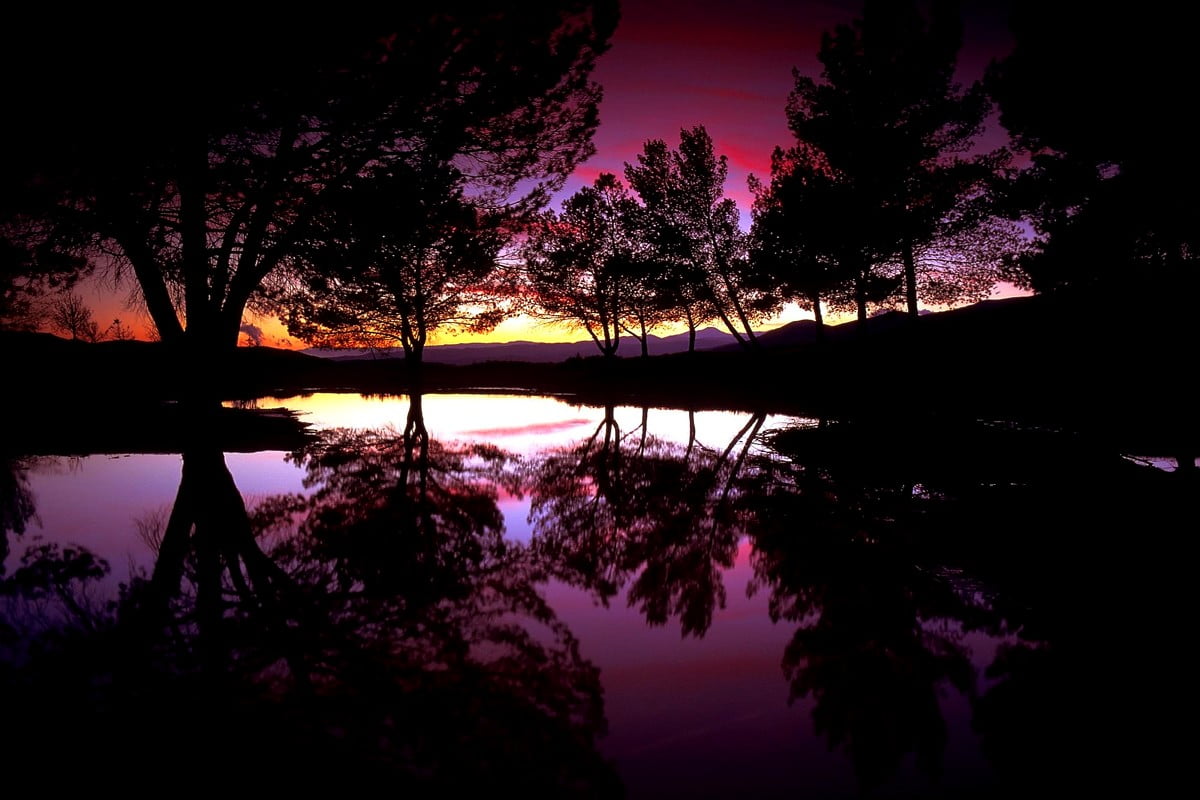 2000 Hintergrundbilder 1600x900 Natur Kostenlose Bilder