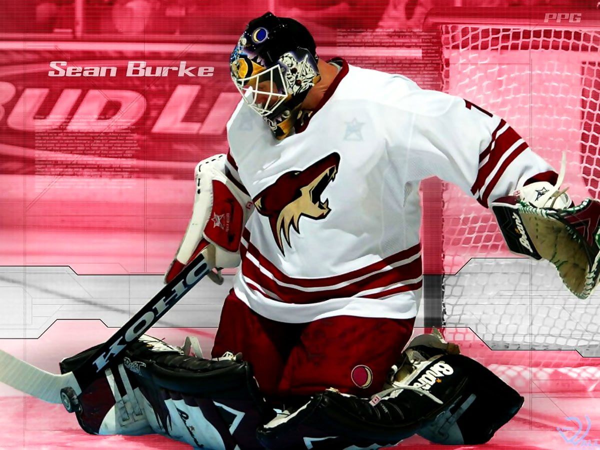 Foto Eishockey, Spieler, Torwart 🔥 TOP kostenlose Fotos