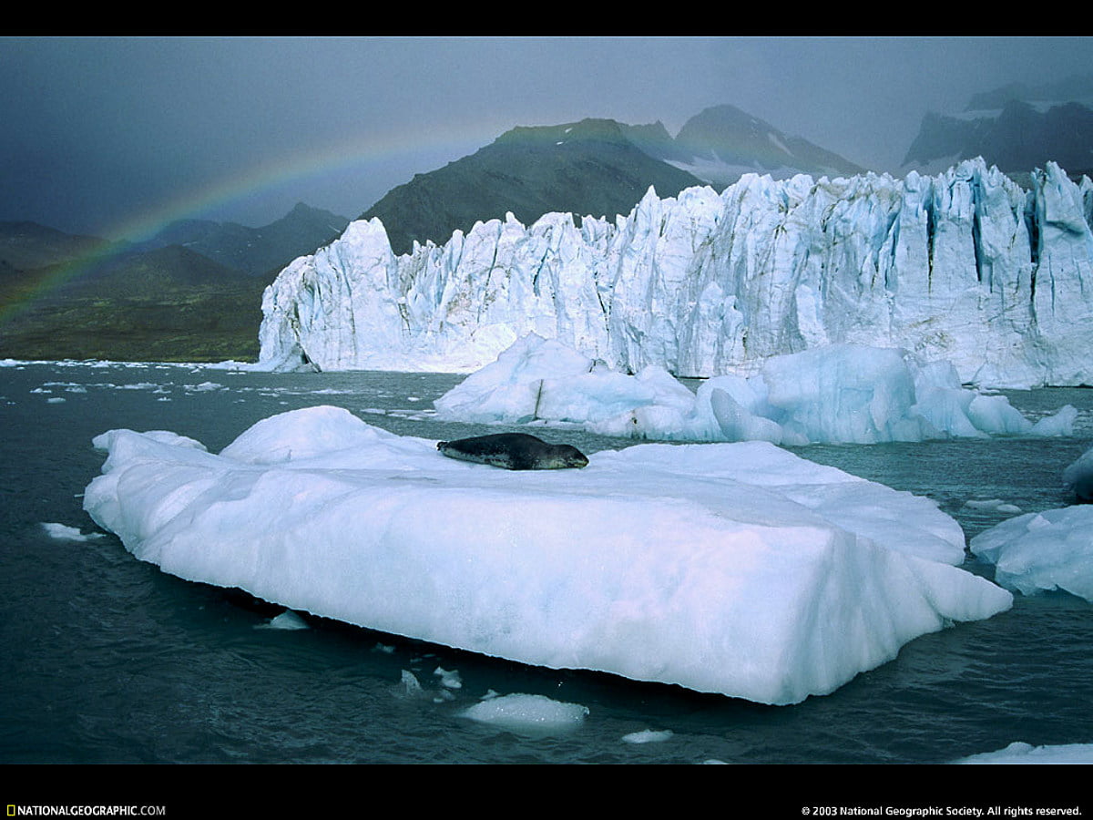 Best HD Pictures about  Real Pics Das Ist Kalt Top 7 Amazing  - No AI Images
