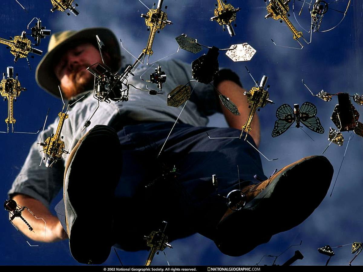 Schönes Hintergrundbild National Geographic, Nat Geo, Alltägliche