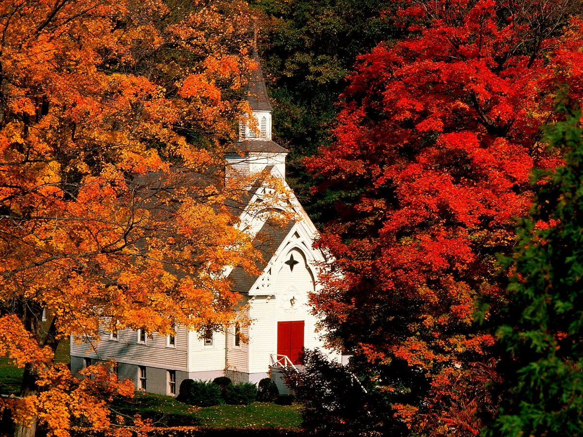 340+ 4K Hintergrundbilder Herbst Kostenlose Bilder